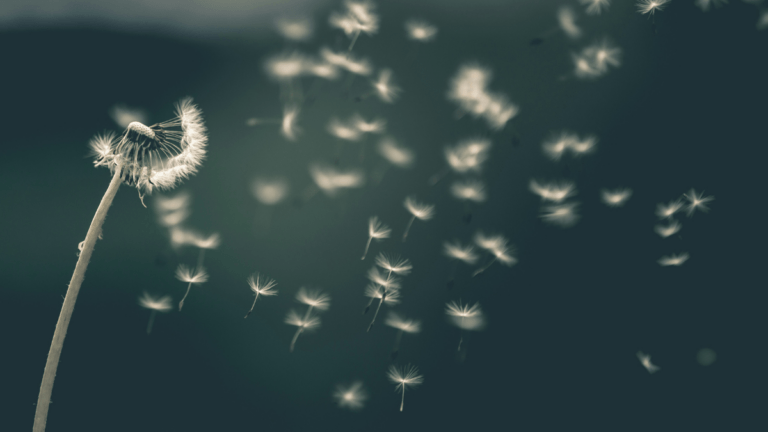 Close-up of a dandelion with seeds blowing away against a soft, blurred green background.